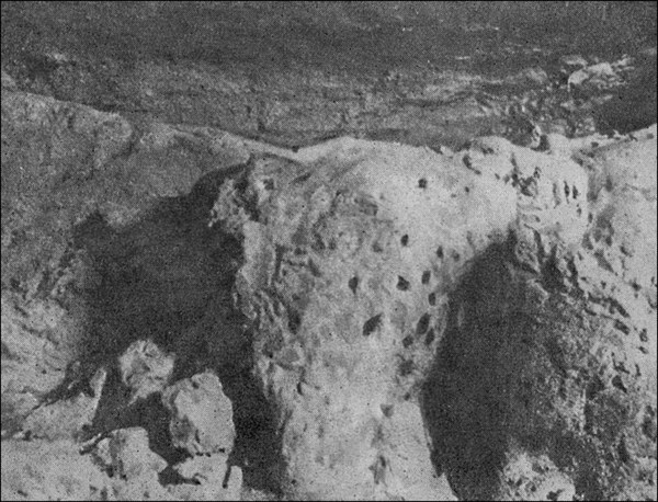 Раненый лев, пещера Монтеспан